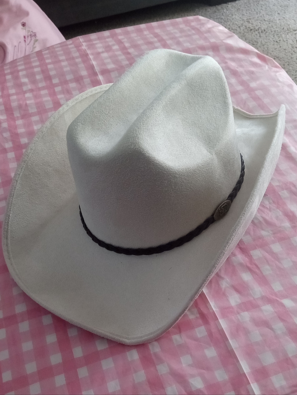 Cowboy Hat with Braided Band